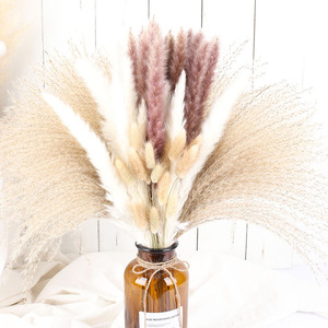 Ramo de Flores Secas de Pampas Naturales, Hierba de Pampas Seca para Decoración de Fiestas - Product Image 2