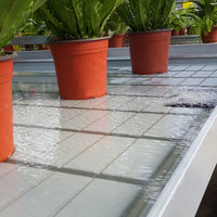 Grands plateaux de culture hydroponiques de 4 pi x 8 pi pour bancs roulants en plastique pour serres commerciales