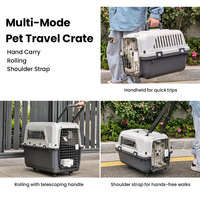 Cage de transport pour animaux de compagnie OEM IATA, en plastique, de luxe, grande taille, sur roulettes, pour chat et chien, haute et robuste