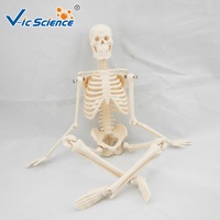 Modèle de squelette humain miniature de 45 cm, taille réelle, modèle médical de squelette, os de squelette