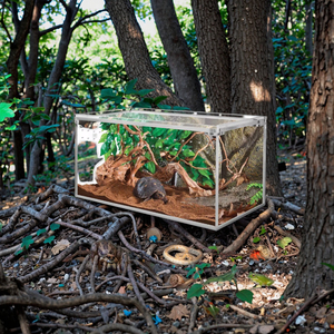 Reptile <strong>Terrarium</strong> Acrylic Enclosure Reptile Cage Breathable <strong>Plastic</strong> Breeding Box for Insect Lizard Spider - Product Image 3