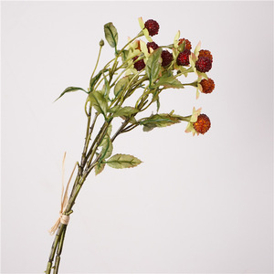 Bouquets de framboises sur le thème de l'automne Style <span class=keywords><strong>simple</strong></span> décorations pour la maison Fruits artificiels Arrangements de fleurs de mariage en gros - Product Image 6