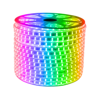 Bande lumineuse LED RGB, smd 2835, 12/24 V, télécommande intelligente sans fil, WIFI, détection de musique, étanche