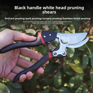 Sécateur à tête blanche et poignée noire <span class=keywords><strong>pour</strong></span> la taille des branches, des arbres fruitiers et des fleurs - Ciseaux en <span class=keywords><strong>bambou</strong></span> - Product Image 3