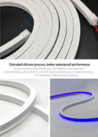 Tira de LED de Neón Flexible de 10*10m, DC12V RGBW IP65, Revestimiento de Silicona de Doble Capa, Ra80, Iluminación para Clubes, CE
