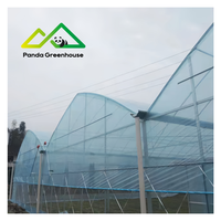 Polyfolie Gotische Landbouwkas Kit |   Enkelvoudige grote multispan commerciële constructie voor hoogproductieve groente- en bessenteelt