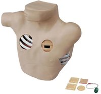 Modèle de formation à la ponction thoracique, mannequin en PVC, simulation réaliste, mannequins de RCP utilisés, vente à moins de 10 OMR, mannequin féminin