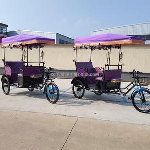 Triciclo eléctrico de 3 ruedas para turista, bicicleta de pasajeros, triciclo eléctrico con <span class=keywords><strong>asistencia</strong></span> de pedal a la venta - Product Image 4