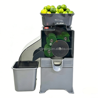 Presse-agrumes automatique commerciale pour citron, petit agrumes, kumquat, 60-80 kg/h, acier inoxydable robuste, usage domestique, hôtels