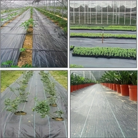 Toile anti-mauvaises herbes laminée PE/PP, tissu de suppression des adventices longue durée pour les parterres de fleurs, les allées de jardin et l'aménagement paysager