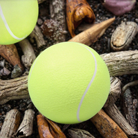 Ballon de tennis gonflable géant WELSTAR 9,5'' durable, imprimé sur mesure pour le jeu des chiens – Meilleure vente