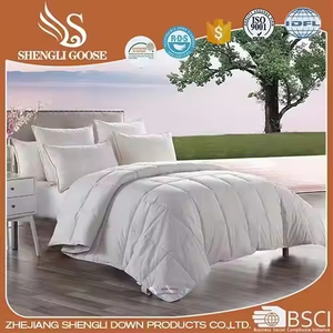 Bán Buôn Ấm Mềm Mại Duvet Bộ Đồ Giường Đặt 100% Bông Xuống Thay Thế Giường Duvet Comforter Cho Khách Sạn - Product Image 4