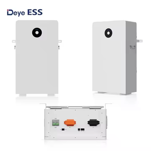 Deye ESS RW-F16 LiFePO4แบตเตอรี่, โซลูชันการจัดเก็บพลังงานที่บ้านแรงดันไฟฟ้าต่ำเทคโนโลยีแบตเตอรี่สำหรับ IP65กระป๋องไฮบริด - Product Image 1