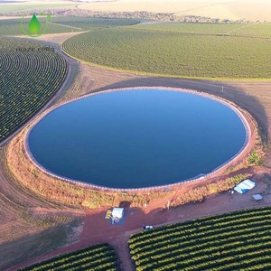 中国工厂池塘班轮土工膜1毫米<span class=keywords><strong>Hdpe</strong></span>土工膜价格池塘土工膜价格 - Product Image 3