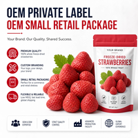 HALAL KOHSER CERTIFICAAT Gedroogd Fruit 100% Natuurlijk Vriesgedroogde Aardbei ODM OEM Smaak Private Label