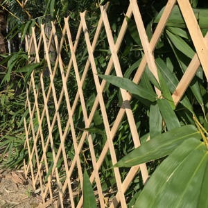 Phong cách cổ điển mở rộng bằng gỗ cực <span class=keywords><strong>trellis</strong></span> thiết kế truyền thống sơn sân hàng rào cho ban công vườn trang trí nội thất thân thiện với thiên nhiên - Product Image 1