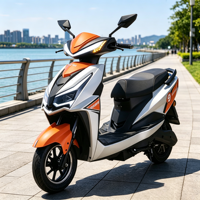 Moto électrique avancée 1000W pour adultes : Plaisir sans effort, écologique