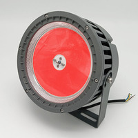 Lampe de pêche LED IP66 800W en gros, lumière rouge pour la pêche en haute mer, attirant les calmars et les thons, pour bateaux