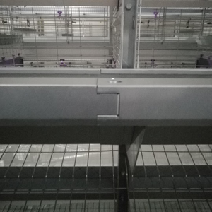 Jaulas <span class=keywords><strong>de</strong></span> capa huevo pollo batería 4 niveles capa <span class=keywords><strong>de</strong></span> <span class=keywords><strong>segunda</strong></span> mano jaulas <span class=keywords><strong>de</strong></span> aves <span class=keywords><strong>de</strong></span> corral capa jaulas <span class=keywords><strong>de</strong></span> codorniz para la venta - Product Image 6