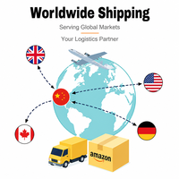 Agent maritime chinois vers les États-Unis, l'Europe, l'Australie, fret maritime, fret aérien, FCL, LCL, entrepôt FBA, logistique porte-à-porte