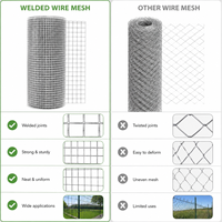 Rouleau de grillage soudé enduit de PVC durable, couleur verte, pour clôture de jardin, enclos à poules, cages pour animaux