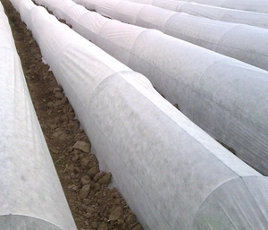 UV Treat Agricultural Field <strong>Crop</strong> Thermal Sheet Greenhouse 17g White Anti Insect <strong>Cover</strong> Non Woven Thermal Cloth <strong>Crop</strong> <strong>Cover</strong> - Product Image 4
