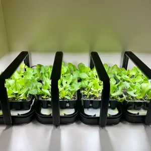 Nampan hidroponik cerdas nampan dalam ruangan pot tanaman penanam Taman Kit meja dapur sistem penumbuh lampu Led untuk penggunaan di rumah