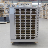 Unité de condensation en acier inoxydable de type U avec compresseur scroll Copeland ZFI 8HP 10HP 12HP pour la réfrigération à basse température des entrepôts frigorifiques