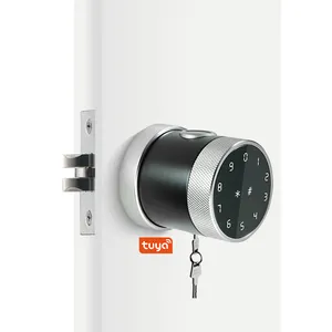 חדר שינה דיגיטלי כדור עגול דלת אבטחה אלקטרונית ללא מפתח אפליקציית טויה טביעת אצבע נעילת כפתור דלת חכמה לדירה ביתית