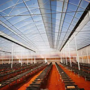 Agricultural Sawtooth Greenhouse With Coco Peat Grow Bags