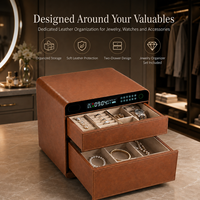 Coffre-fort biométrique à empreintes digitales pour bijoux, montres, argent liquide avec batterie rechargeable et chargement USB-C