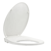 Siège de toilette Bidet lavage femme double buse eau froide