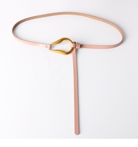 <span class=keywords><strong>Ceinture</strong></span> <span class=keywords><strong>Fine</strong></span> en <span class=keywords><strong>Cuir</strong></span> de Vachette Allongée pour <span class=keywords><strong>Femme</strong></span>, Chaîne de Taille Décorative, avec Boucle en Alliage, Idéale pour Costumes et Jupes - Product Image 5