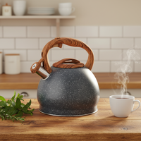 Bouilloire sifflante moderne en acier inoxydable pour la maison et le camping, capacité de 2 L, 2,5 L, 3 L, fond à induction