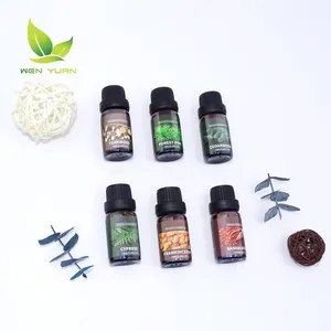 6 Pcs Set 10ml Essential Oil Kit Growing Hair Body Care Packaging Candle Scent Fragrance Bulk Steam Distillation Oils Natural