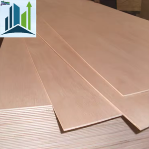 Fabrik verkauf Alle Größen Gewerbliches Sperrholz Hartholz Sperrholz Laminierte Platte Dekoration Sperrholz für Möbel 18mm 4*8 - Product Image 3