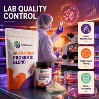 Compléments alimentaires probiotiques de qualité alimentaire, service OEM, certifiés GMP, approvisionnement en vrac