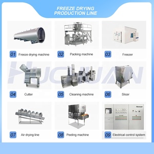 Machine de lyophilisation sous vide de fruits de 2 tonnes, lyophilisateur certifié CE pour la transformation alimentaire, avec <span class=keywords><strong>pompe</strong></span> <span class=keywords><strong>à</strong></span> <span class=keywords><strong>chaleur</strong></span> électrique et moteur Ti - Product Image 6
