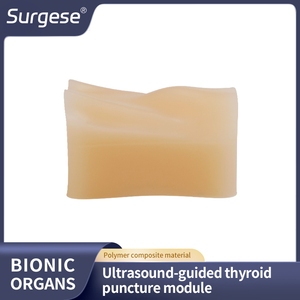 Modulo di Addestramento per Puntura Guidata ad Ultrasuoni della Tiroide, con Lesioni Bilaterali, Dimensioni Reali della Tiroide, Pratica di Biopsia nella Regione del Collo, Modello Fantoccio - Product Image 6