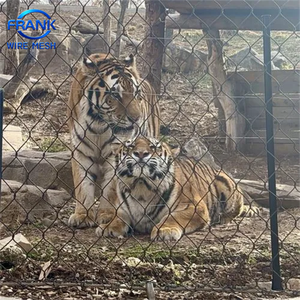 Filet en treillis métallique <span class=keywords><strong>flexible</strong></span> en acier inoxydable de fabrication chinoise / Filet tissé pour cages d'animaux de zoo / Filet de clôture en corde - Product Image 5