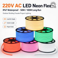 Ruban LED néon flexible 220V AC, étanche IP68, rouleau de 50M/100M, éclairage extérieur pour façade de bâtiment, éclairage personnalisé pour projets