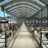 Nave prefabricada de estructura de acero ligero de China para ganado ovino, caprino y otros animales, diseño de taller y establo.