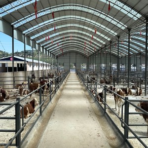 Capannone Prefabbricato in Acciaio Leggero <span class=keywords><strong>per</strong></span> Allevamento di Pecore, Capre e Animali, Progettazione di Officine e Stalle - Product Image 1