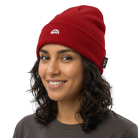 Bonnet d'hiver thermique en laine tricotée avec broderie exquise, unisexe, chaud, élégant, polyvalent et décontracté – Vente en gros