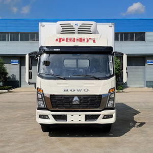 รถบรรทุกห้องเย็นขนาดเล็ก 5 ตัน เครื่องยนต์ดีเซล ยี่ห้อซิโนทรัค แบบกำหนดเอง ขับเคลื่อน 4x2 สำหรับขนส่งเนื้อสัตว์และปลา - Product Image 3