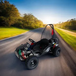 Garantierte Qualität Autos Karting Go Karts 37km/Std. Rennsport Drift Go Cart für Kinder und Erwachsene