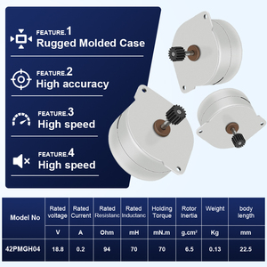 Mô-tơ điện RB NEMA42, máy phát điện dùng năng lượng tự do, mô-tơ nam châm vĩnh cửu 50W cho xe điện, 12V 24V - Product Image 3