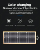 Lámpara Solar LED Ajustable de 30W para Calle, Plástico, IP65 Impermeable, Uso en Exteriores, Iluminación Vial, con Batería LiFePO4