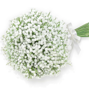 1 Ramo de <span class=keywords><strong>Flores</strong></span> Artificiales de Gypsophila Blanca, <span class=keywords><strong>Flores</strong></span> Falsas de Tacto Real para Decoración de Bodas, Fiestas y Hogar - Product Image 1