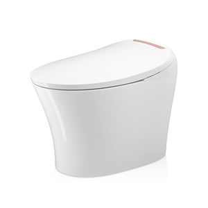 TEJJER Bidet <span class=keywords><strong>de</strong></span> <span class=keywords><strong>toilette</strong></span> en céramique une pièce à chaleur instantanée, blanc et or <span class=keywords><strong>rose</strong></span> - Product Image 4